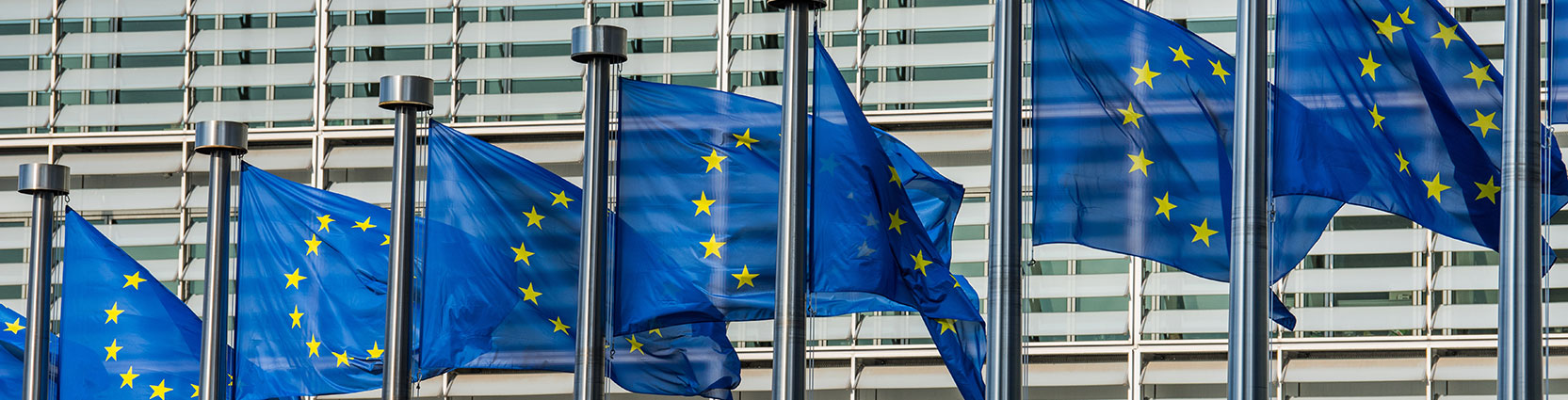 BVR Carousel Image 0