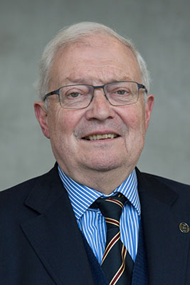 Prof. Häuser Ombudsperson BVR